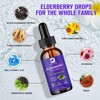 B Beworth Elderberry Liquid Drop Supplement | Immune Booster for Adults| | 2 Fl Oz - 2 of 4