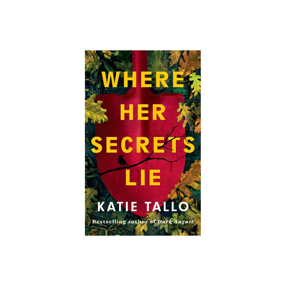Where Her Secrets Lie - by Katie Tallo (Paperback)