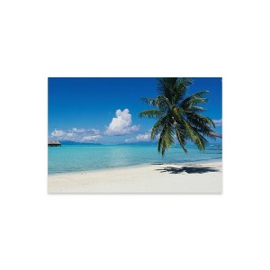 Palm Tree on The Beach Bora Bora Tahiti Print on Acrylic Glass by Panoramic Images - iCanvas - 1 of 4