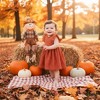 2Bunnies Lace Pom Pom Trim Baby Girl Dress - 3 of 3