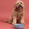 Mason Cash: Reactive Paw Pet Bowl - 7", 32oz - Blue Glaze, Dog Food-Water Dish - 2 of 4