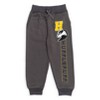 Harry Potter Gryffindor Fleece 2 Pack Pants - 2 of 4