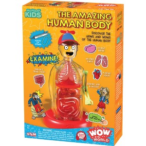 Wow in the World: The Amazing Human Body - 1 of 4