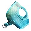 Doggie Design American River Choke Free Dog Harness Ombre Collection-Aruba Blue - 2 of 4