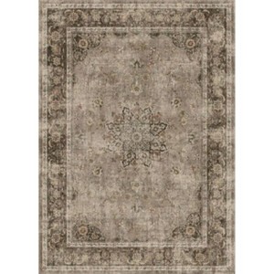 Area Rugs Living Room Machine Washable Soft Carpet for Bedroom Vintage Distressed Area Rug - 1 of 1