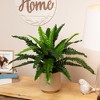 Northlight Potted Artificial Green Boston Fern Plant - 17.5" - 2 of 4