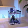 10 Liter Plastic Fish Tank Starter Kits with LED Light, Pump, 22.5Cm l x 15Cm w x 25.5Cm h, Small Fish Tank - 2 of 4