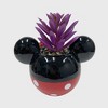 Disney 2pc Indoor/Outdoor Ceramic Mickey & Minnie Mouse Classic Succulent Set: Novelty Garden Accessories, No Drainage - 3 of 4