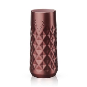 Viski Paragon Champagne Flute Insulated 9 oz - 1 of 4