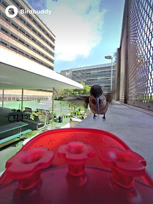 Guest review image 3 of 4, zoom in