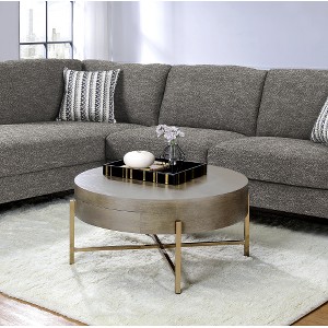 Weyton Light Brown & Champagne Finish Coffee Table - 1 of 1