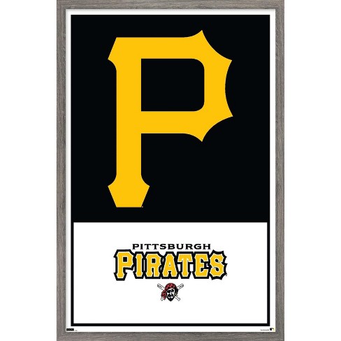 Mlb Pittsburgh Pirates Baseball Logo Glass Framed Panel : Target