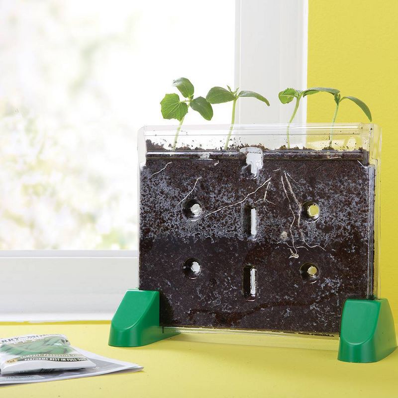 Educational Insights Sprout And Grow Window, 4 of 7