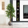 Nearly Natural 6-ft Artificial Black Olive Tree - 4 of 4