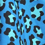 blue cheetah