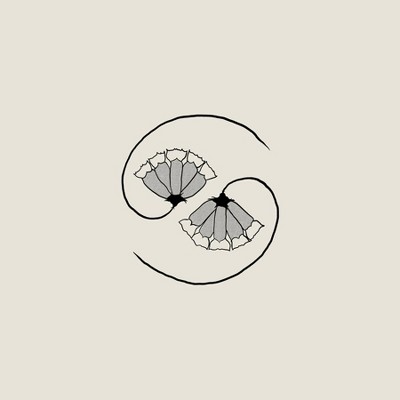 Godspeed You Black E - G D's Pee At State's End! (CD)