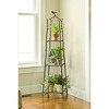 Gardener's Supply Company Branch Plant Stand | Decorative & Compact Indoor 3-Tier Shelf Perfect for Corner Display of Houseplants, Flowers & More | - 3 of 4