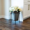 14" Patio Ring Iron Plant Stand Black - ACHLA Designs - 3 of 4