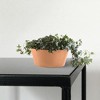 Ecopots Frankfurt Durable Modern Round Indoor/Outdoor Recycled-Based Composite Flower Pot Planter - 3 of 4