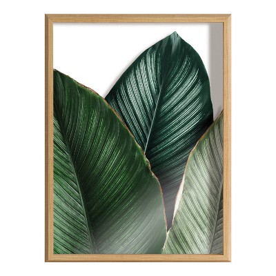 Natural Framed Tropical Palm Leaves Glass Wall Art