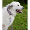 Country Brook Petz 1 1/2 Inch Martingale Dog Collar - Groovy Collection - 2 of 4
