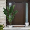 4FT Artificial Tropical Plant in Pot, PEVA Leaf Fake Tree with Realistic Green Foliage for Indoor Outdoor Home Office Decor - 4 of 4