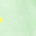 avocado cat green