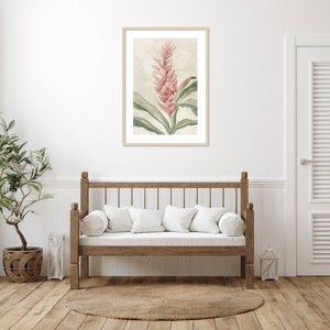 Amanti Art Pink Ginger I by Jacob Q Wood Framed Wall Art Print - 1 of 4