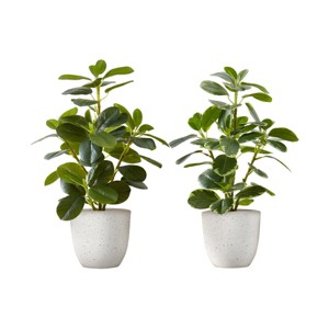SEVOBAL Planters Set of 2 Artificial Ficus Plants 14" Tall in White Pots with Green Leaves for Indoor Decor, Green, 10"*9"*14" - 1 of 4