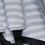 Gray Stripes