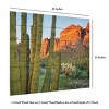 Trademark Fine Art Alan Majchrowicz Organ Pipe Cactus National Monument Arizona Wood Slat Art - 3 of 4