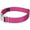 Country Brook Petz Premium Nylon Dog Collar with Metal Buckle for Small Medium Large Breeds - Vibrant 30+ Color Selection - 3 of 4