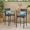 Modern Outdoor Wicker Height Barstool Chairs Set of 2,PE Rattan Woven Kitchen Dining Room Bar Stool with Metal Frame and Footrest-Coolbibila - 3 of 4