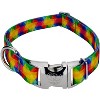 Country Brook Petz Premium Dog Collar - Groovy Collection - 4 of 4