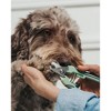 Dexypaws: Pet Nail Clipper - Small - Sage Green, Dog & Cat Grooming Tool - 4 of 4