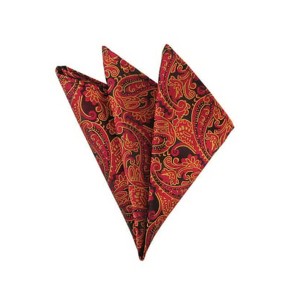 TheDapperTie - Men's Paisley Woven 10 Inch x 10 Inch Pocket Squares Handkerchief - 1 of 3