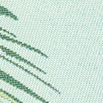 palm border aqua