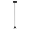 Crystorama Lighting Omni 6 - Light Chandelier in  Matte Black - 4 of 4