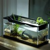 Fish Tanks, High Transparency Acrylic Rectangular, Desktop Fish Tank for Shrimp Small Fish Guppy, Room&Office Desktop Decor - 2 of 4
