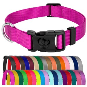Country Brook Petz Everyday Nylon Dog Collar - 1 of 4