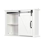 Organnice Bathroom Wall Cabinet with 2 Adjustable Shelves