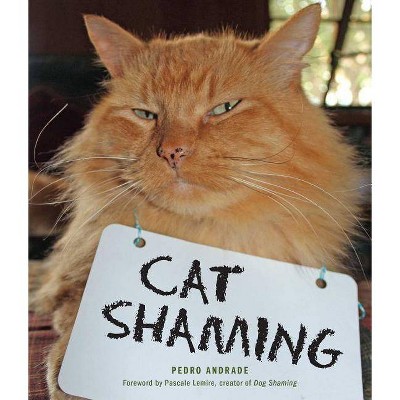 Cat Shaming - by  Pedro Andrade (Paperback)