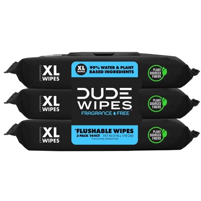 DUDE Wipes Unscented XL Flushable Wipes, 4 Flip-Top Packs, 48 Wipes per  Pack, 192 Total Wipes