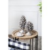 GlasFlength Decorative Objects Abstract Pinecone Decor Accent Decor Pine Cones Vintage Pinecone Table Decor for Room, Gray, 6.9"*6.7"*10.6" - 3 of 4