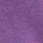purple berry