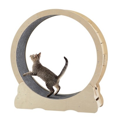 Cat Exercise Wheel Treadmill For Indoor Cats, Weighted Wheel For Cats ...