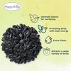 Happy Wings NO GROW Black Oil Sunflower Seed - 15lbs Bag - 4 of 4