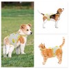 Unique Bargains Dog Diapers for Female Dog Period Washable Reusable with Adjustable Suspender - 4 of 4