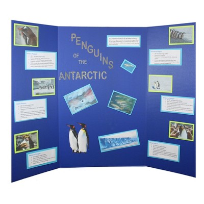 Blue Corrugated 36" x 48" Tri-Fold Poster Board Box