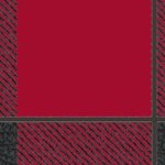 tampa bay buccaneers